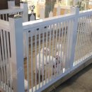 장 동물병원 이미지