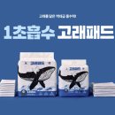 견생템 | 실내배변 강아지 견생템, 강아지 배변패드 추천