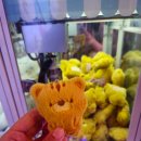 대박터진날 이미지