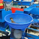 다대수산 이미지