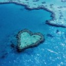 베스트올 이미지