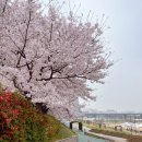 강변자전거길(북) 이미지