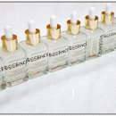 논산고등학교 | [출강 후기] 대전 특수학교 학부모연수 프로그램 추천 천연 화장품 피테라 에센스 만들기(학교출강)