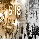 평화당1979 이미지