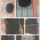 원두골농장 이미지