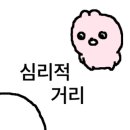 고등어밥도둑 이미지