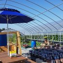 백마 농장2 이미지