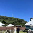 라온몽드하우스웨딩 | 경기도 스몰 웨딩 셀프 웨딩 수원 라온몽드하우스웨딩 결혼식 후기