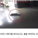 나현유치원 Daum카페