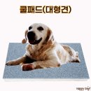 진민하우스