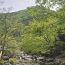 대부산민박 | [경기] 2025, 나그랑 MT … 5. 양평 사나사 계곡