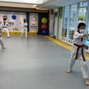 비호태권도장 이미지