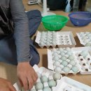 경주농장2 이미지