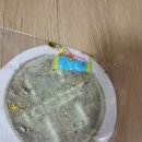 해들마을 408동 앞 | 겉은 깨끗? 속은 충격… 세종 해들마을 소파청소 후 드러난 ‘검은 오수’의 진실