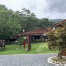 느티나무골펜션 이미지