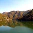 보석사   은행나무 이미지