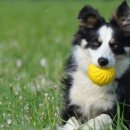 건수농장 이미지