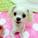 기양죽 어린이공원 이미지