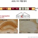성화가설산업 | 알츠하이머 치료제 - DS투자증권