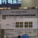 강원카 | [강원 평창]모나용평 발왕산 관광케이블카 후기