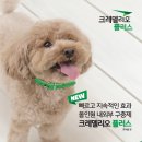 플러스동물의료센터 이미지