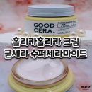 굳세라 | 홀리카홀리카 굳세라 수퍼세라마이드크림 내돈내산 솔직후기