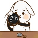 좋은책서점 이미지