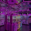 핑키펑키 서면2호점 이미지