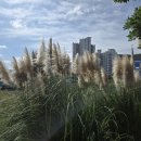 의령소바&명태어장, 쭈갑골 남해점 이미지