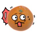 현대동물병원 이미지