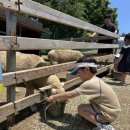 혁이목장 이미지