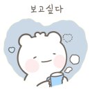 (주)성지메디칼 이미지