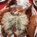 생 마차 | 해운대 포장마차 랍스터 회 찜 내돈내산 솔직 후기