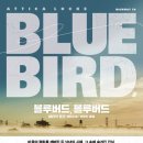 블루버드 이미지