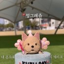 멍그레츄 네이버블로그
