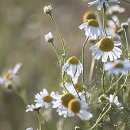 강북제일한의원 | 찌뿌둥한 일상에 활력을! 강북안정한의원 다녀온 찐 후기