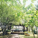 선양시니어빌리지 이미지