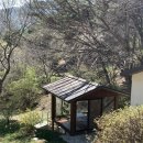 곡성-263 이미지