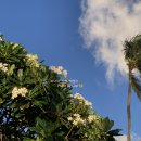 호텔리얼 이미지