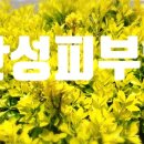 연세하루이비인후과의원 이미지