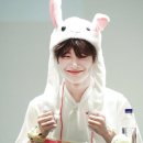 팅커벨 이미지