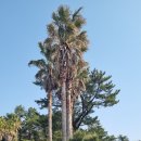 강창학공원 이미지