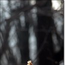 대룡산길 이미지