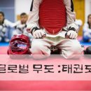 사랑한태권도 네이버블로그