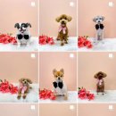 멍뭉이발소 이미지