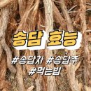 송담1로 이미지