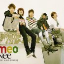 샤이니독 Daum카페