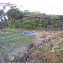 제주대지공인중개사사무소 이미지