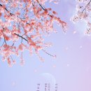 카페 연주 이미지