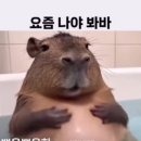 토니모리잠실지하 | 2025.03.03 ~ 2025.03.09 (네일💅, 토니모리 쿠션, 에드워드 리 싸이버거🍔 등)